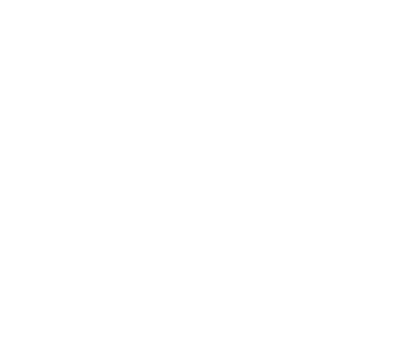 Mitglied im BITMi – Bundesverband IT-Mittelstand e.V.